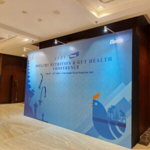 Backdrop / Photo booth Standard